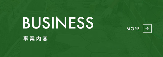 bnrhalf_business_off